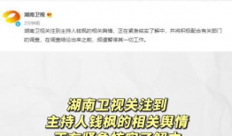 娱乐圈吃瓜动态视频下载